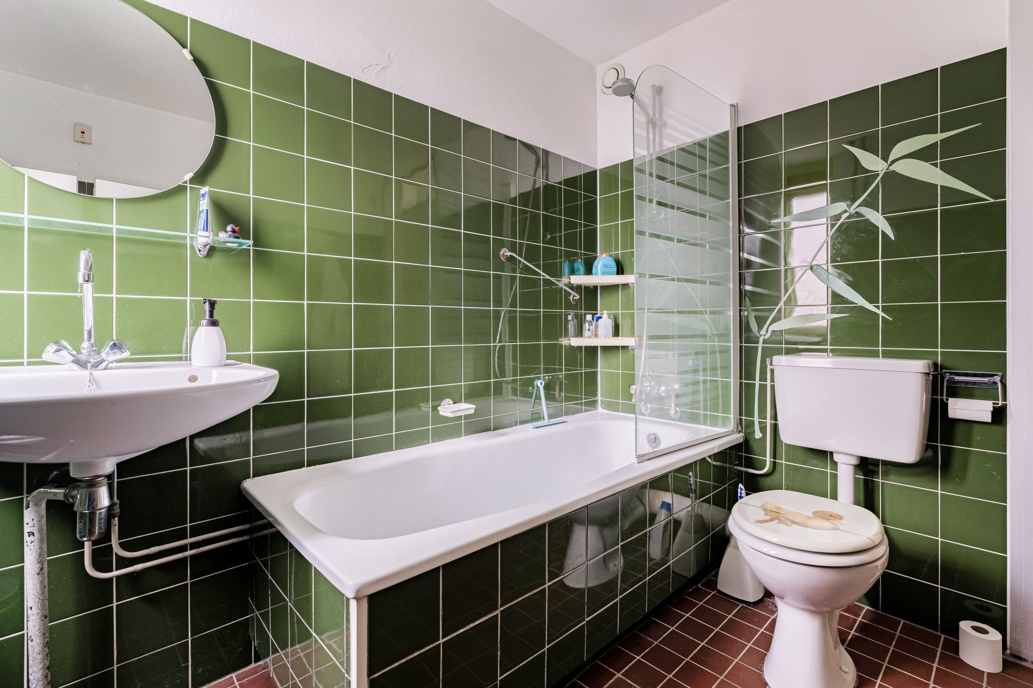 Photo 18 of Maanzaaderf 24