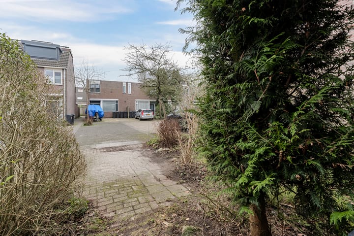 Foto 22 van Maanzaaderf 24