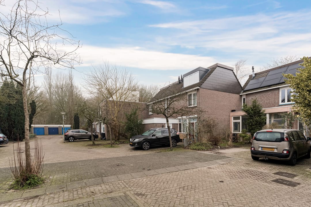 Photo 23 of Maanzaaderf 24