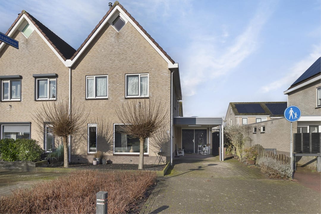 Foto 2 van Pinksterbloem 31