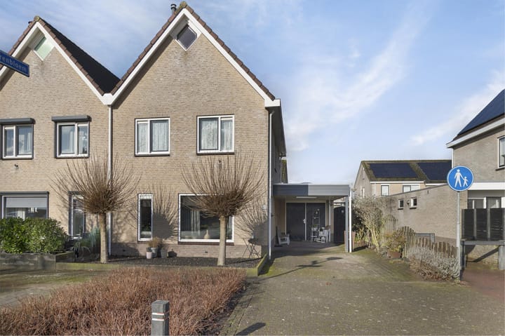 Foto 2 van Pinksterbloem 31