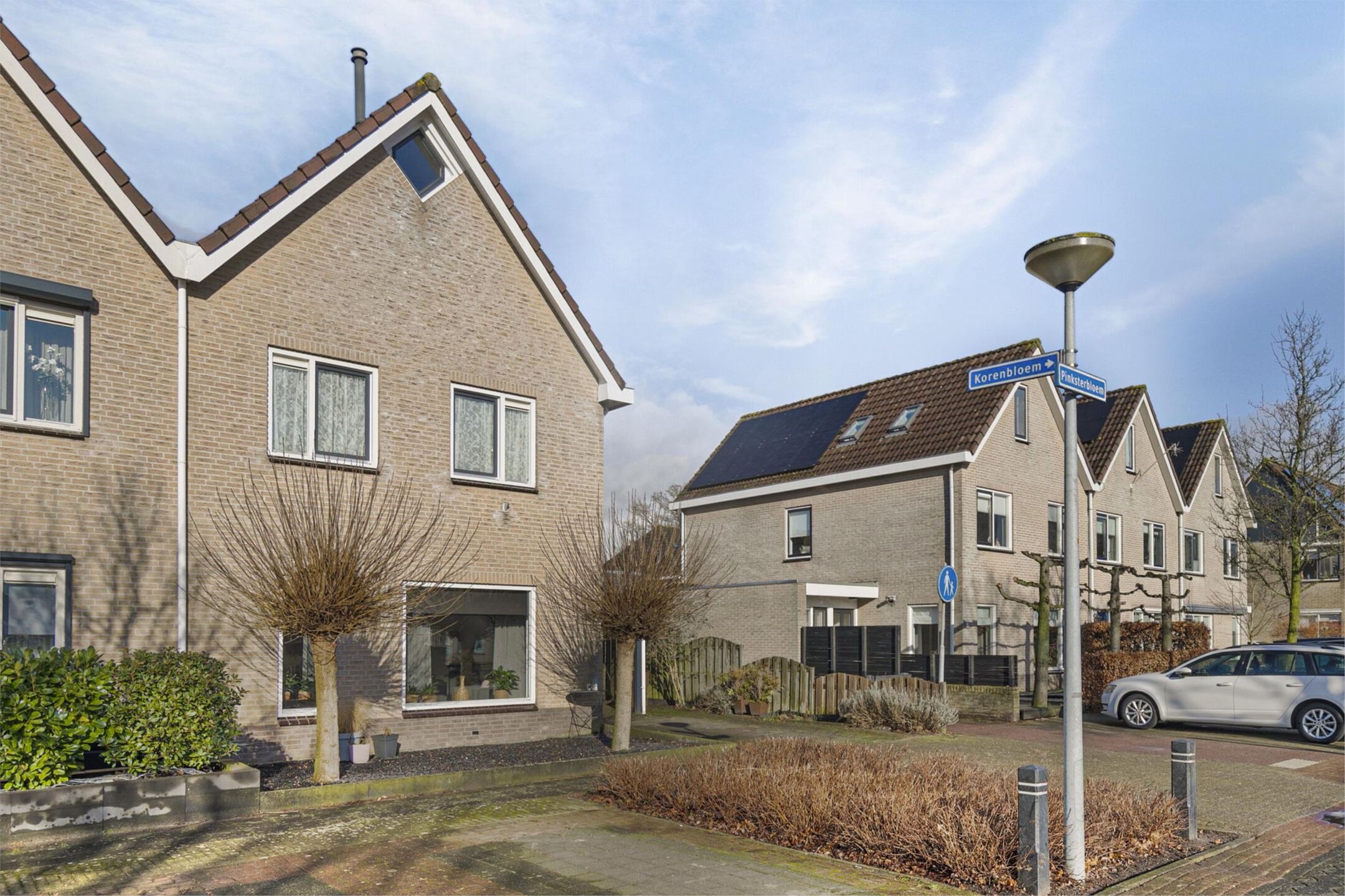 Foto 3 van Pinksterbloem 31