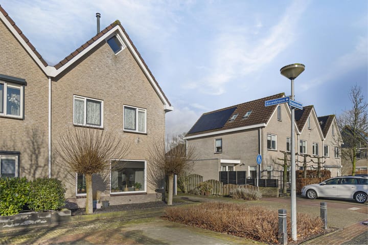 Foto 3 van Pinksterbloem 31