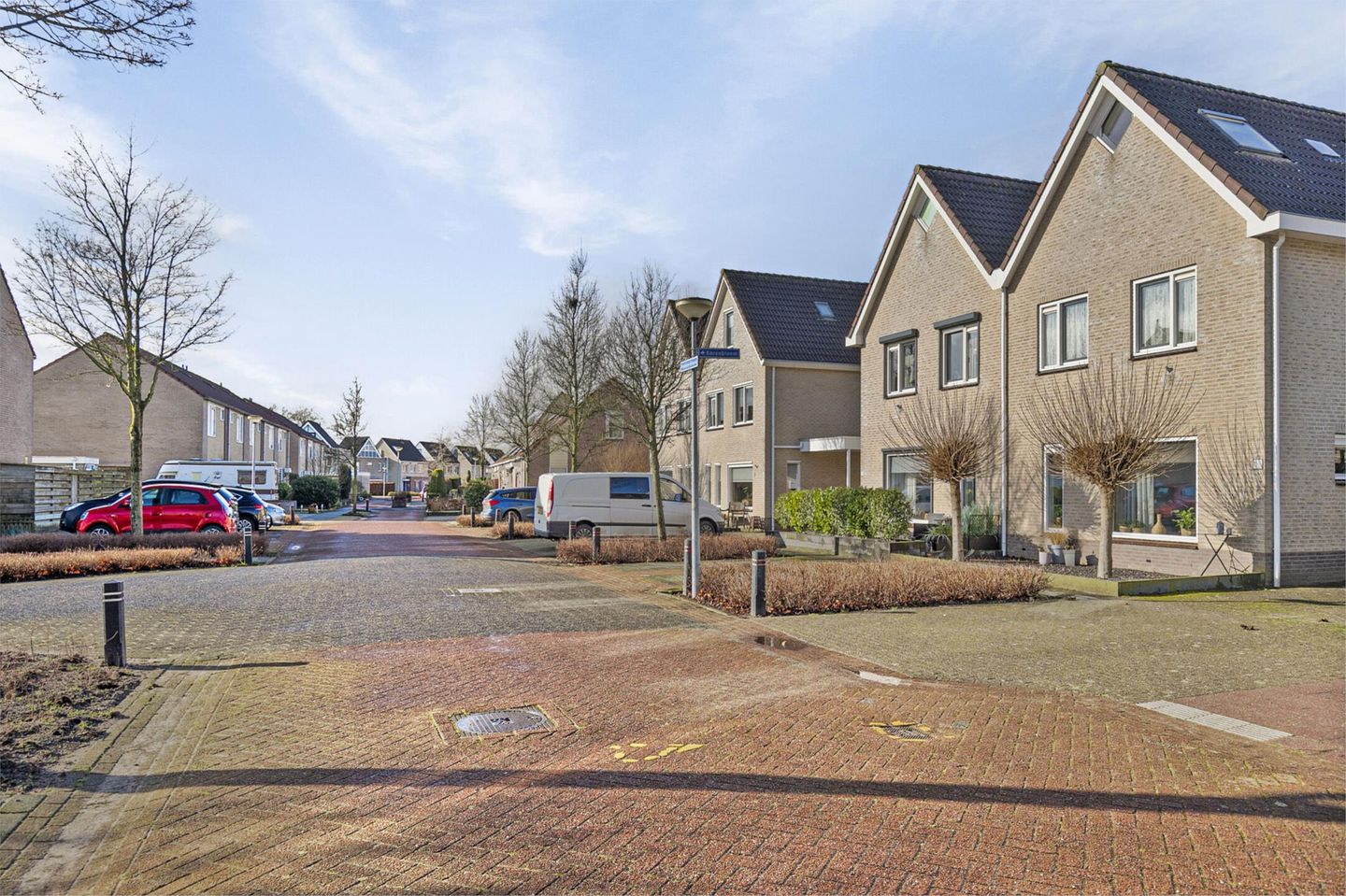 Foto 4 van Pinksterbloem 31