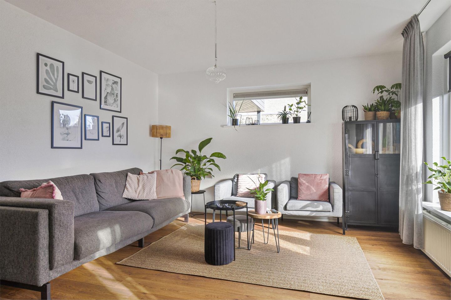 Foto 5 van Pinksterbloem 31