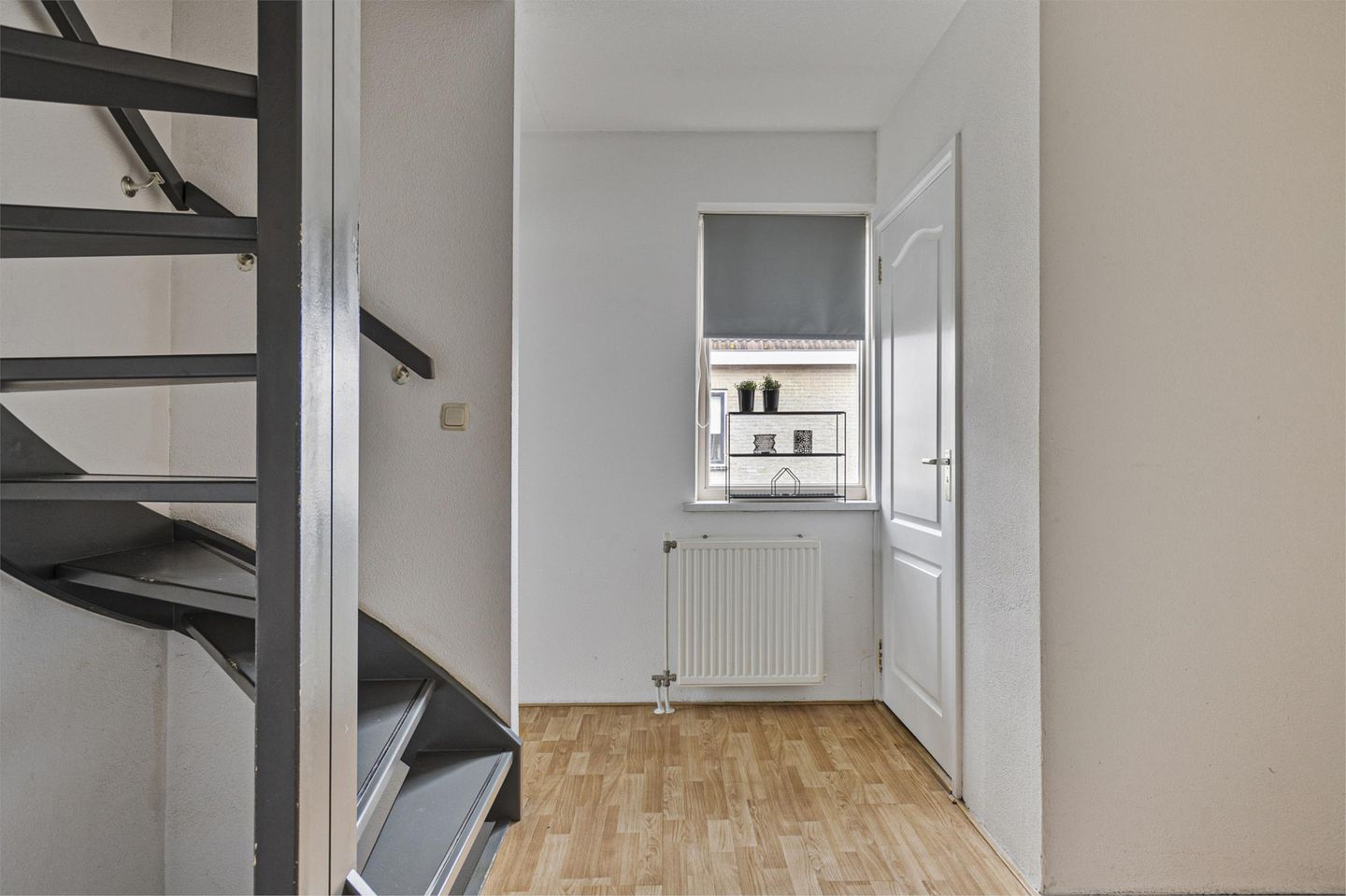 Foto 20 van Pinksterbloem 31