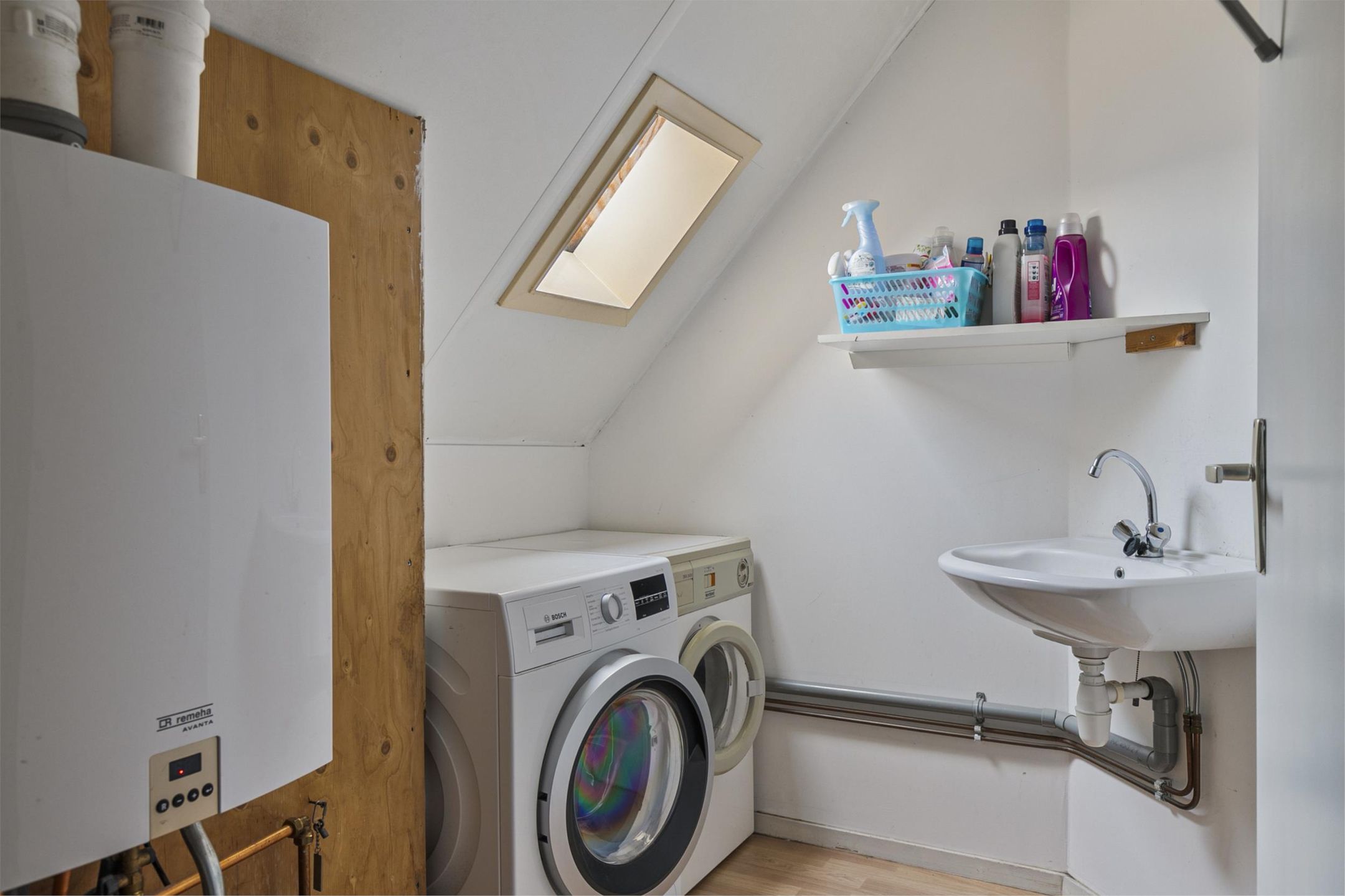 Foto 33 van Pinksterbloem 31