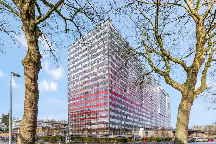 Foto 2 van Laan van Vollenhove 582-BIS