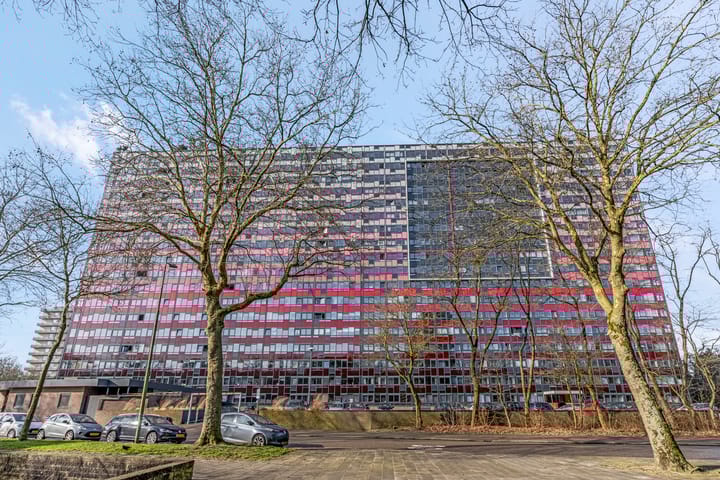 Foto 3 van Laan van Vollenhove 582-BIS