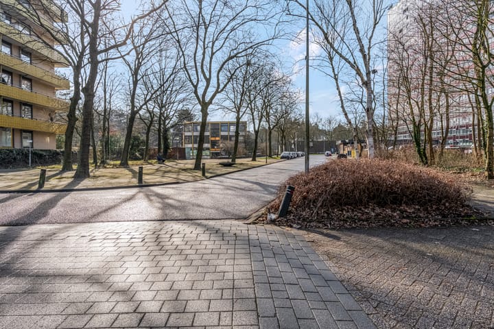 Foto 4 van Laan van Vollenhove 582-BIS