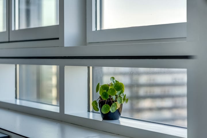 Foto 31 van Laan van Vollenhove 582-BIS