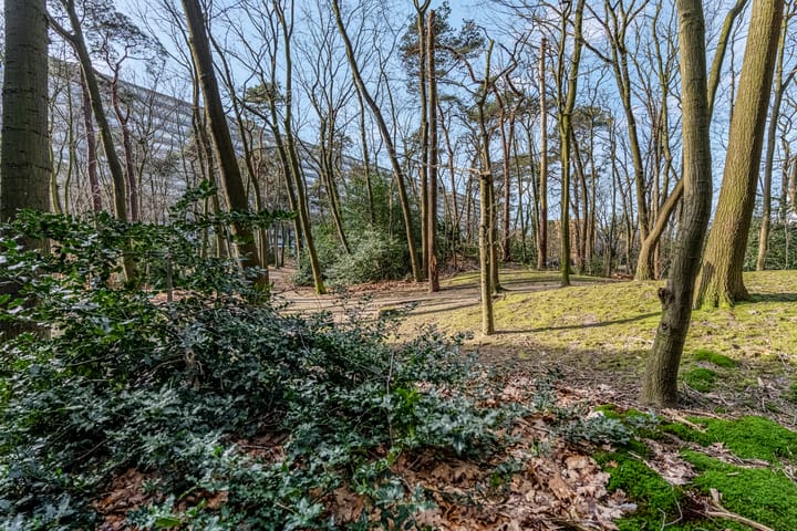 Foto 35 van Laan van Vollenhove 582-BIS