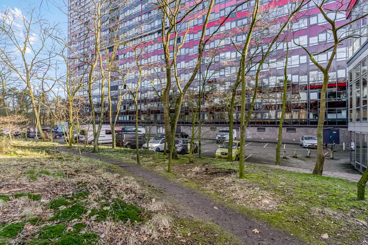 Foto 36 van Laan van Vollenhove 582-BIS