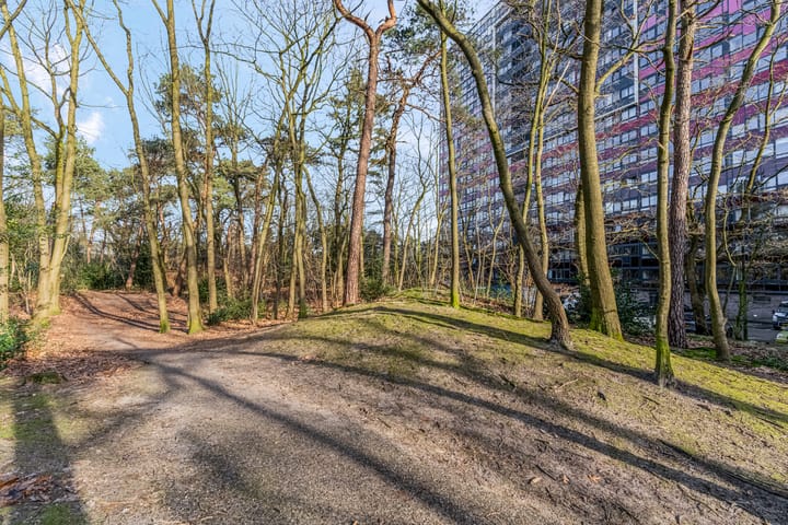 Foto 38 van Laan van Vollenhove 582-BIS