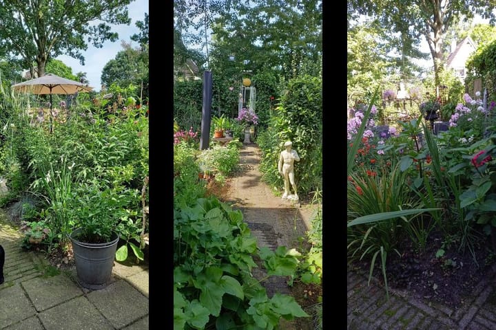 Foto 3 van De Excelsior 69