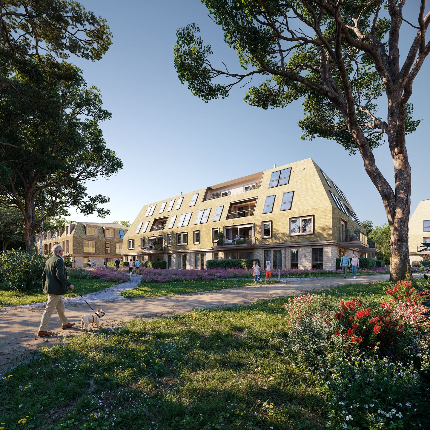 Photo 10 of De Trappenberg