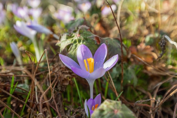 Foto 31 van Otto Doornenbalweg 9