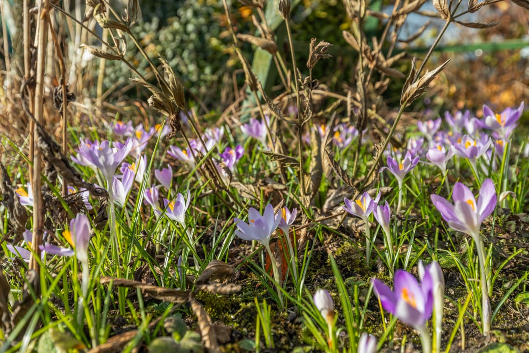 Foto 32 van Otto Doornenbalweg 9