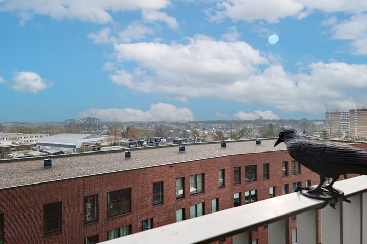 Foto 27 van Churchillplein 96