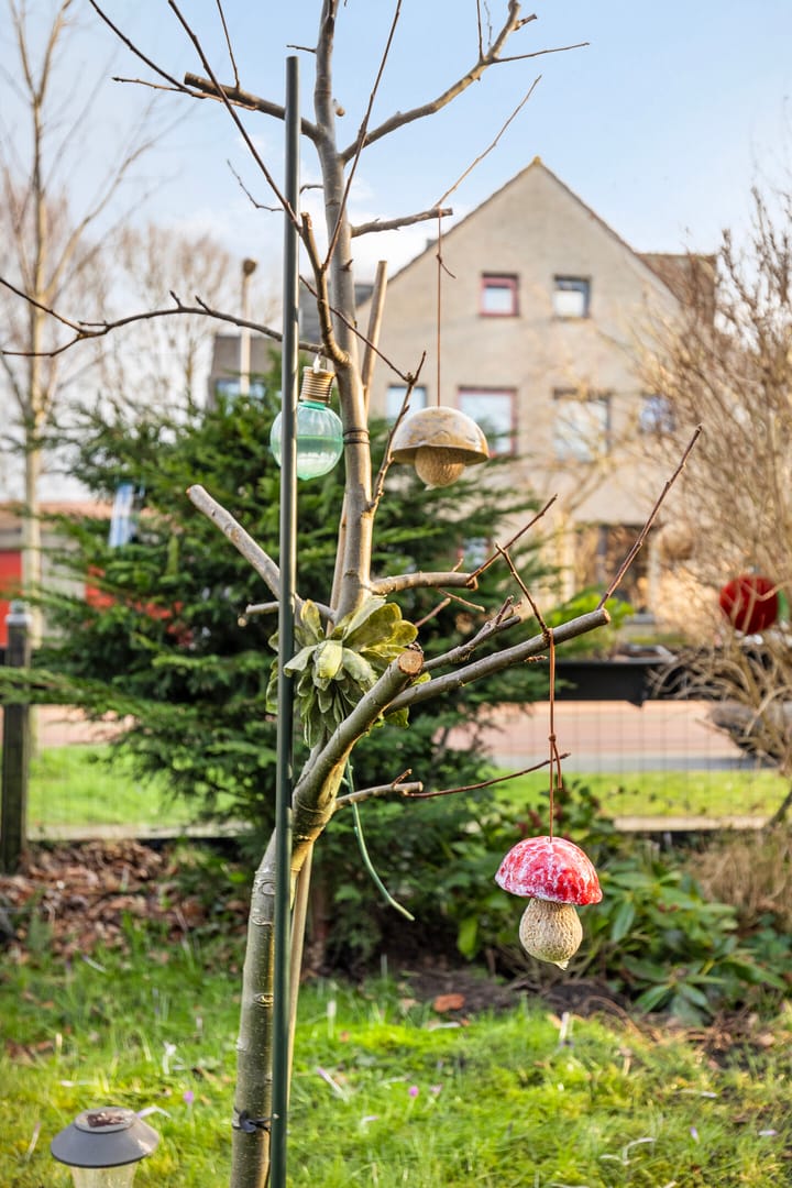 Foto 33 van Meidoornweg 137