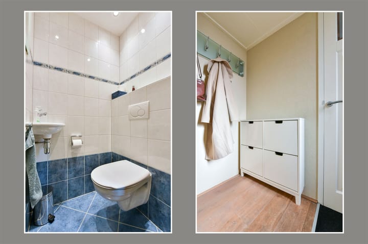 Foto 10 van Zwenkgras 9