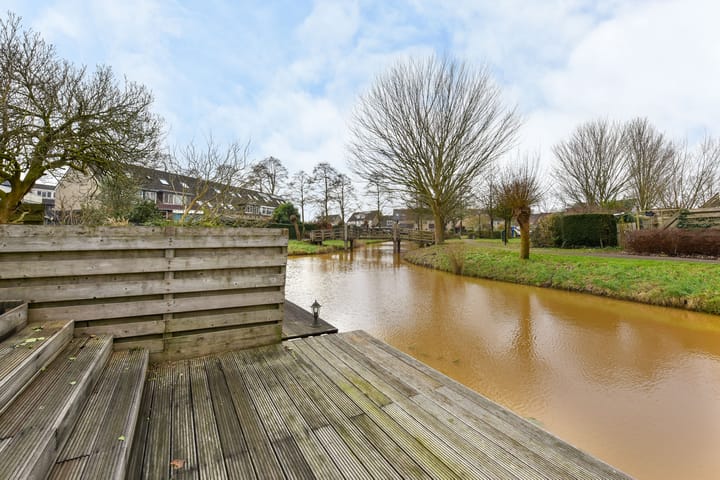 Foto 28 van Zwenkgras 9