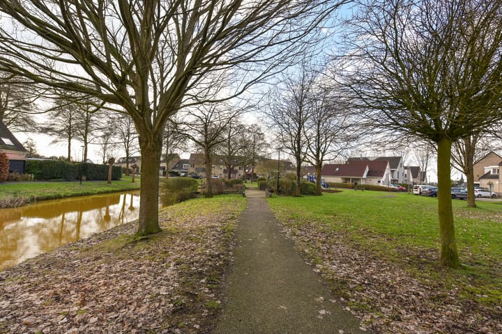 Foto 29 van Zwenkgras 9