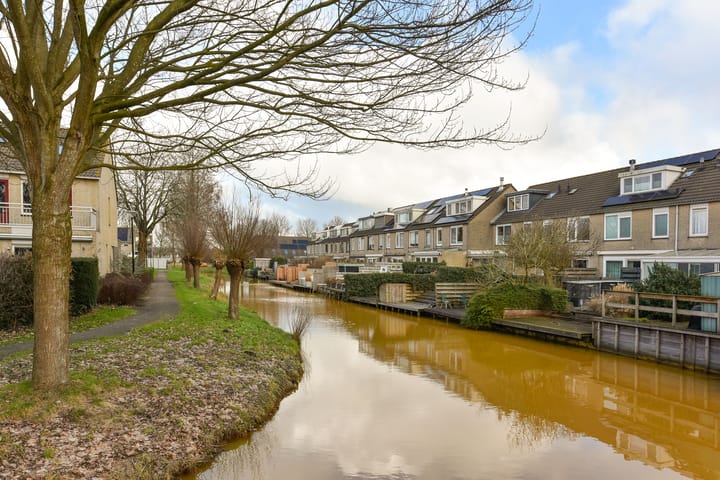 Foto 30 van Zwenkgras 9