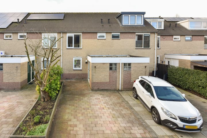 Foto 31 van Zwenkgras 9