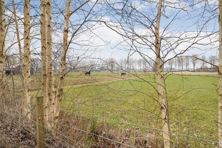 Foto 59 van De Weidenweg 10