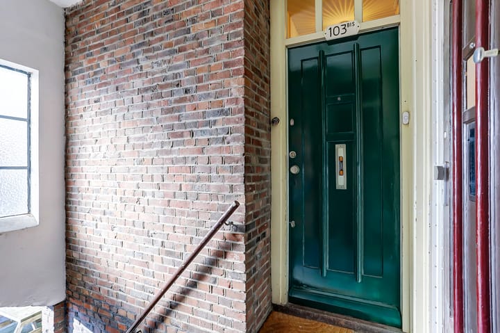 Foto 6 van Laan van Nieuw-Guinea 103-BS