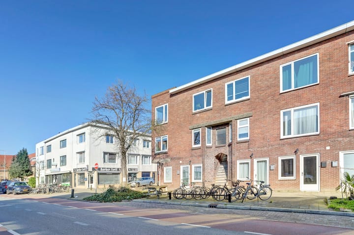 Foto 32 van Laan van Nieuw-Guinea 103-BS