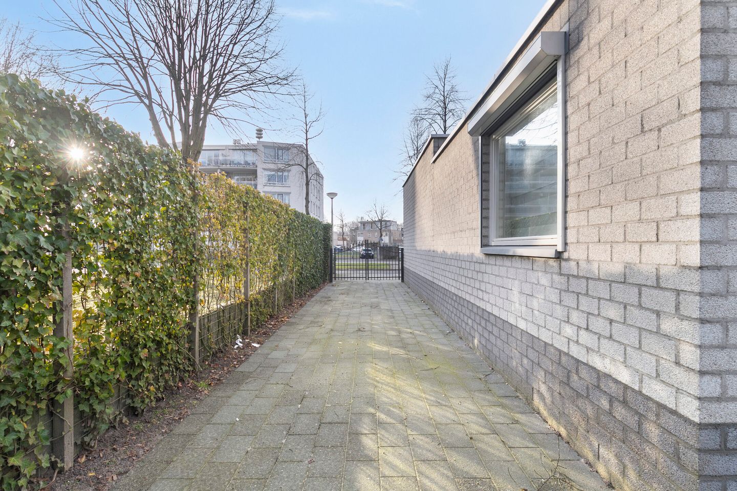 Foto 29 van Cellostraat 38