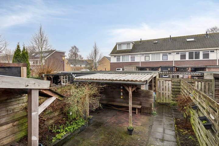 Photo 26 of Morra 56