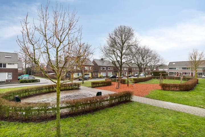 Photo 29 of Morra 56