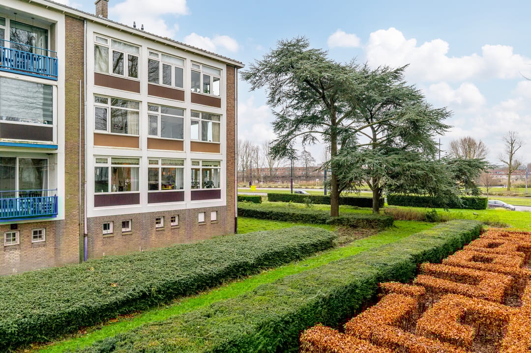 Foto 43 van Johan van Soesdijkstraat 49