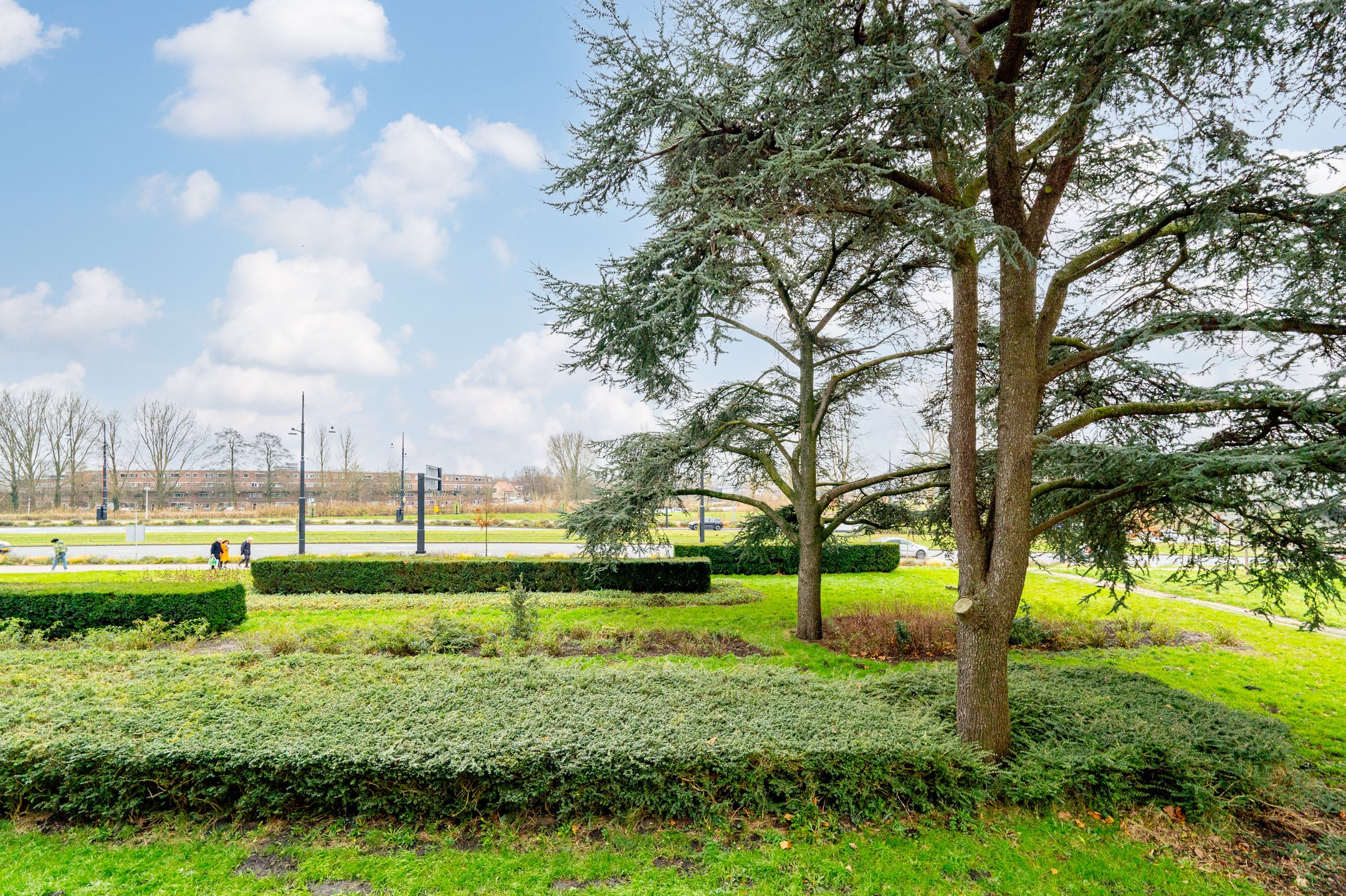 Foto 48 van Johan van Soesdijkstraat 49