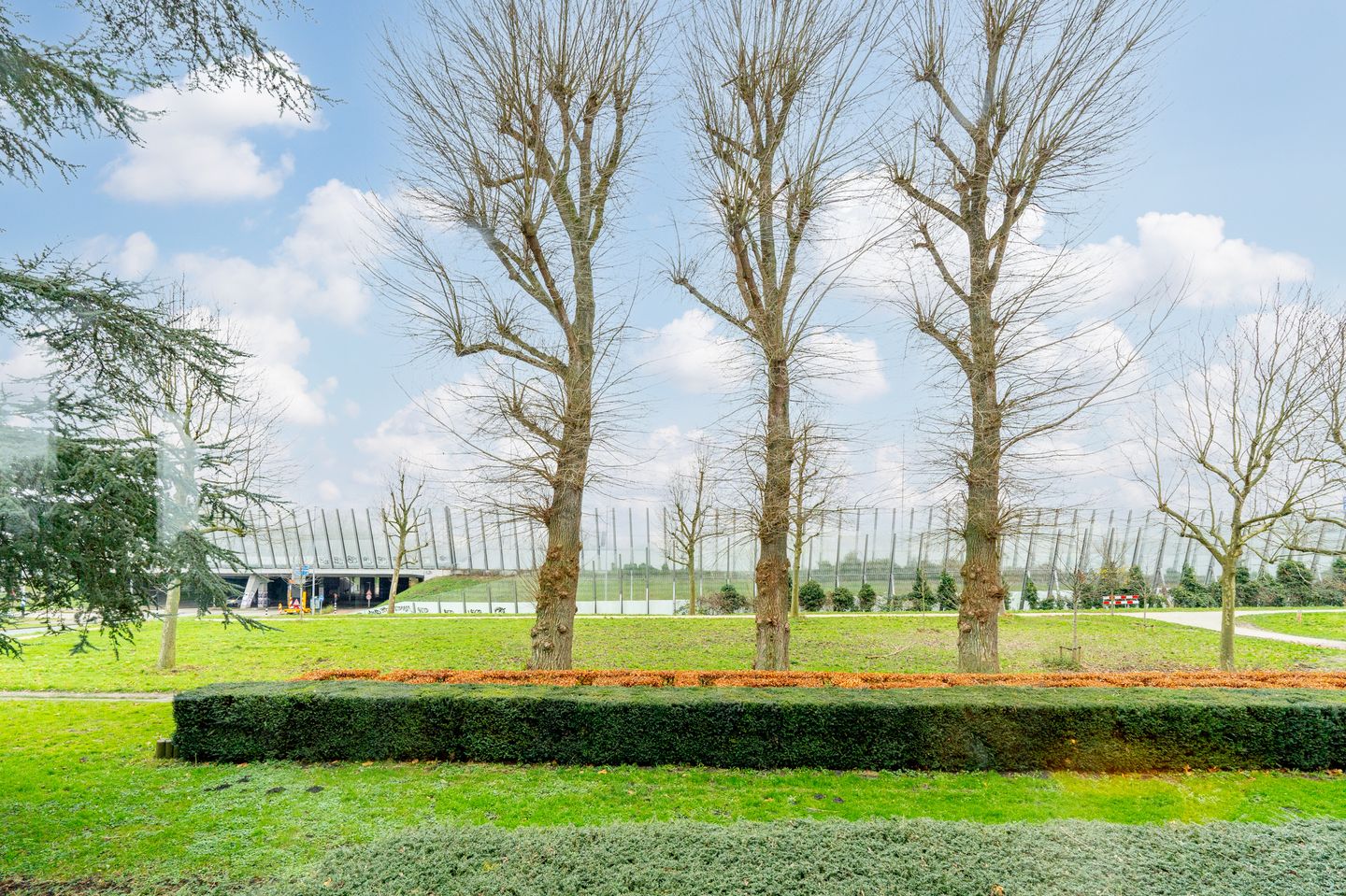 Foto 49 van Johan van Soesdijkstraat 49