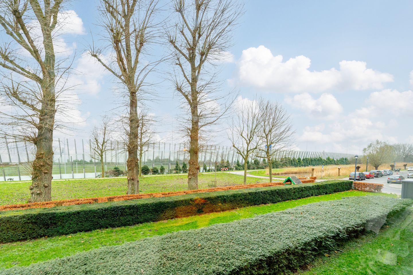 Foto 50 van Johan van Soesdijkstraat 49