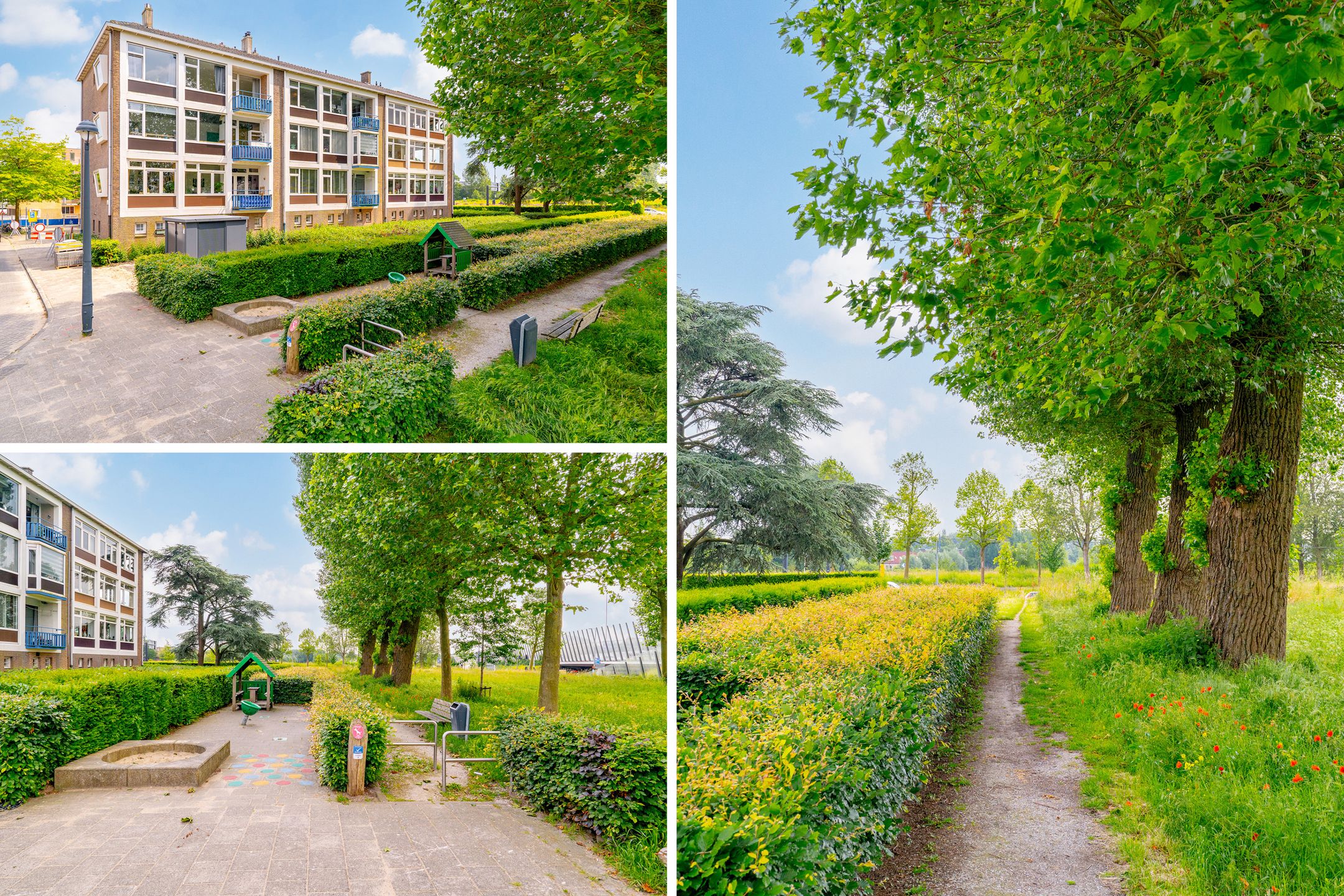 Foto 57 van Johan van Soesdijkstraat 49