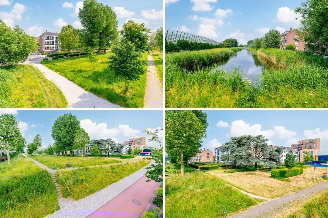 Foto 58 van Johan van Soesdijkstraat 49