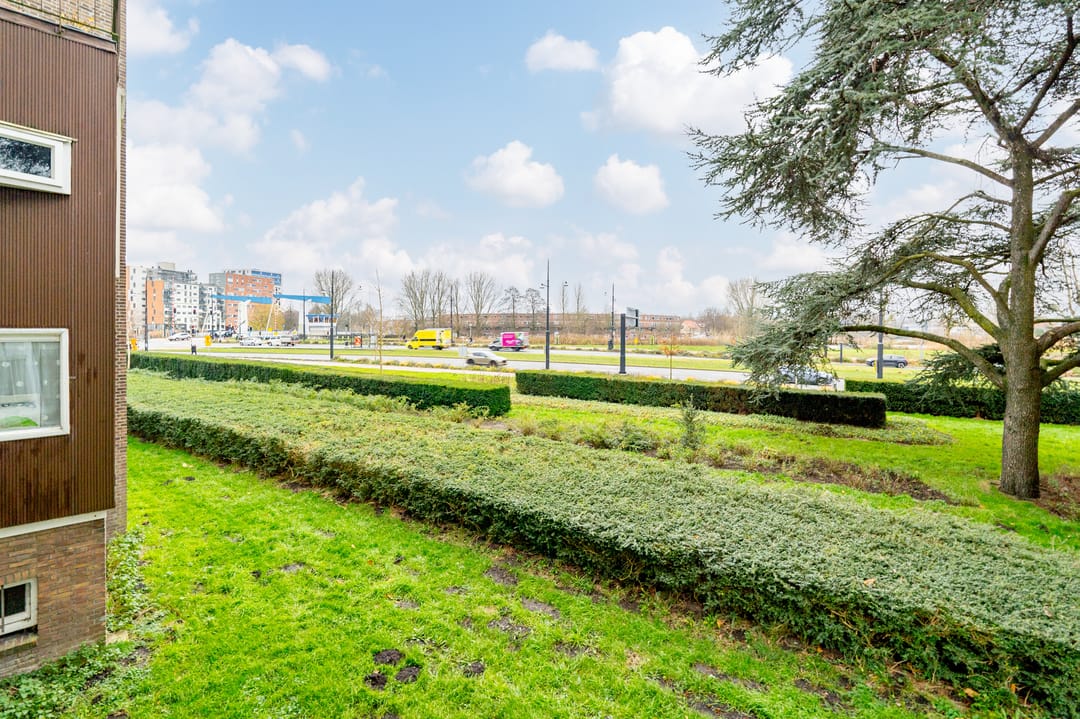 Foto 47 van Johan van Soesdijkstraat 49