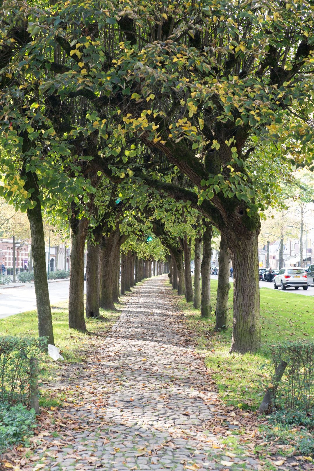 Photo 11 of Laan van KVL 101