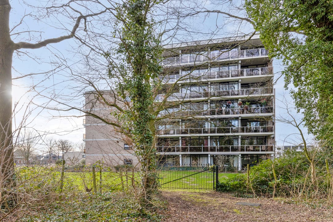 Photo 1 of Frerikshof 162