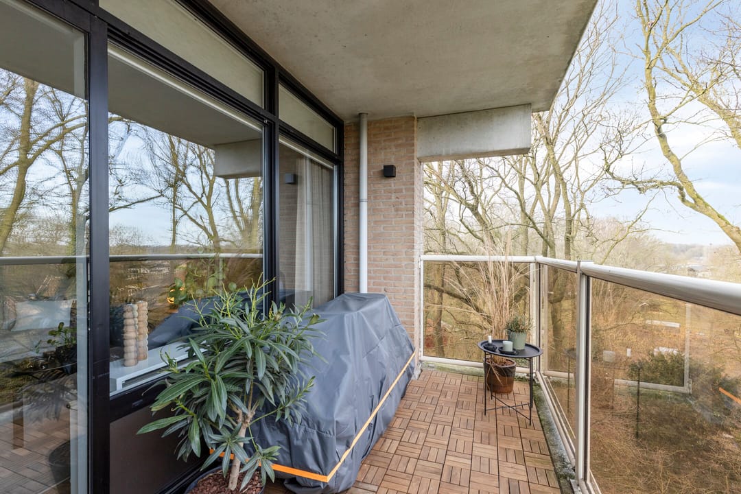 Photo 23 of Frerikshof 162