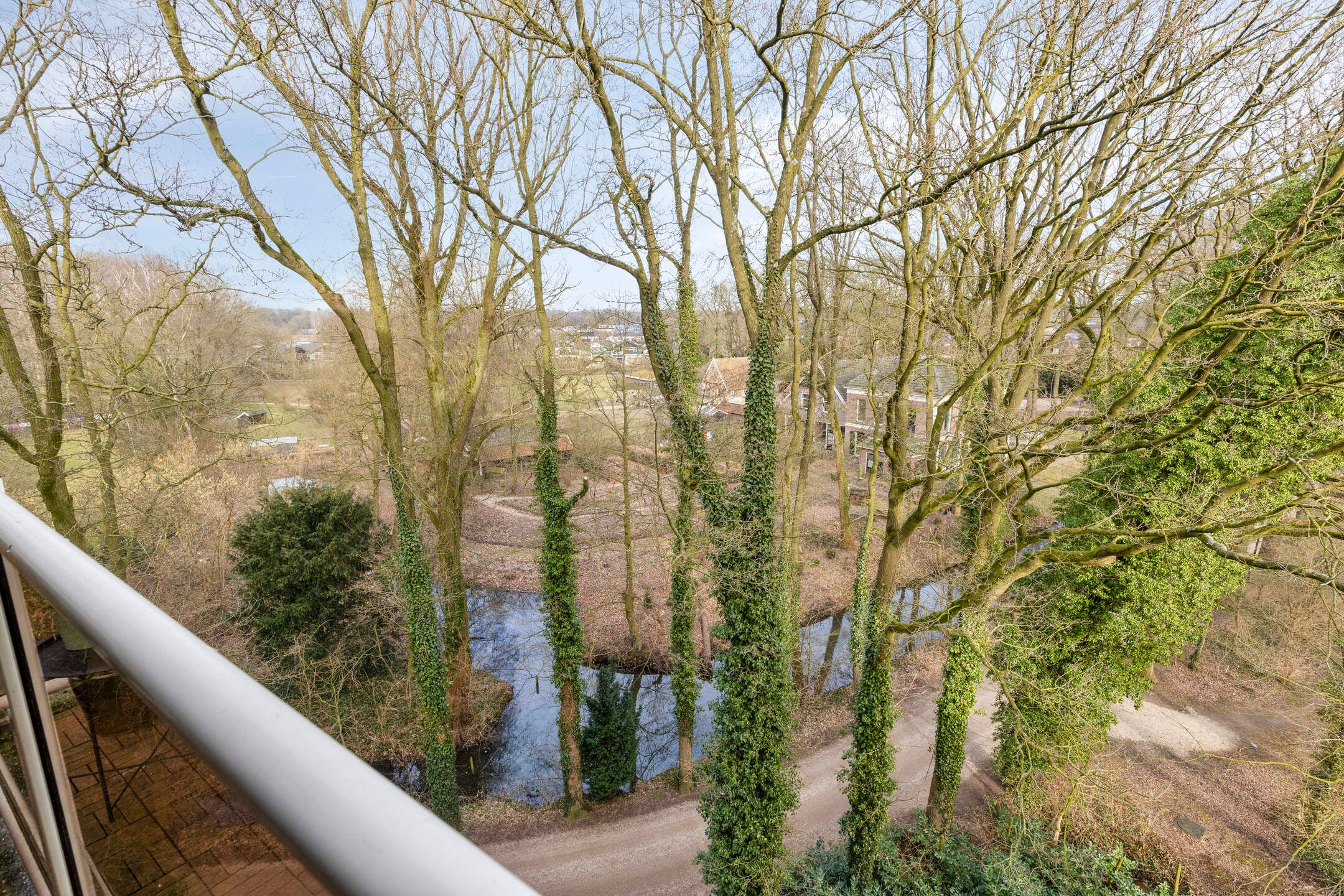 Photo 24 of Frerikshof 162