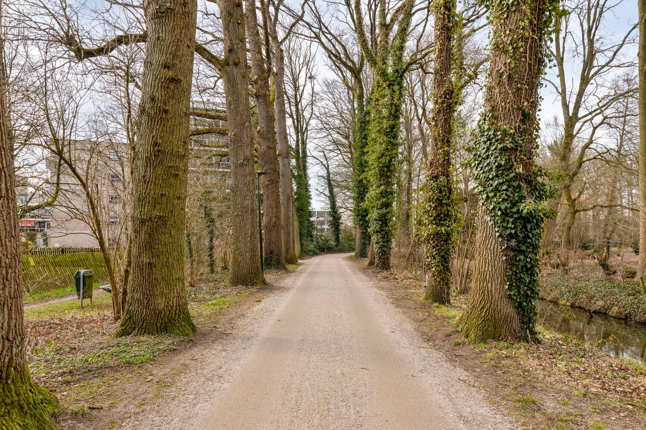 Photo 30 of Frerikshof 162