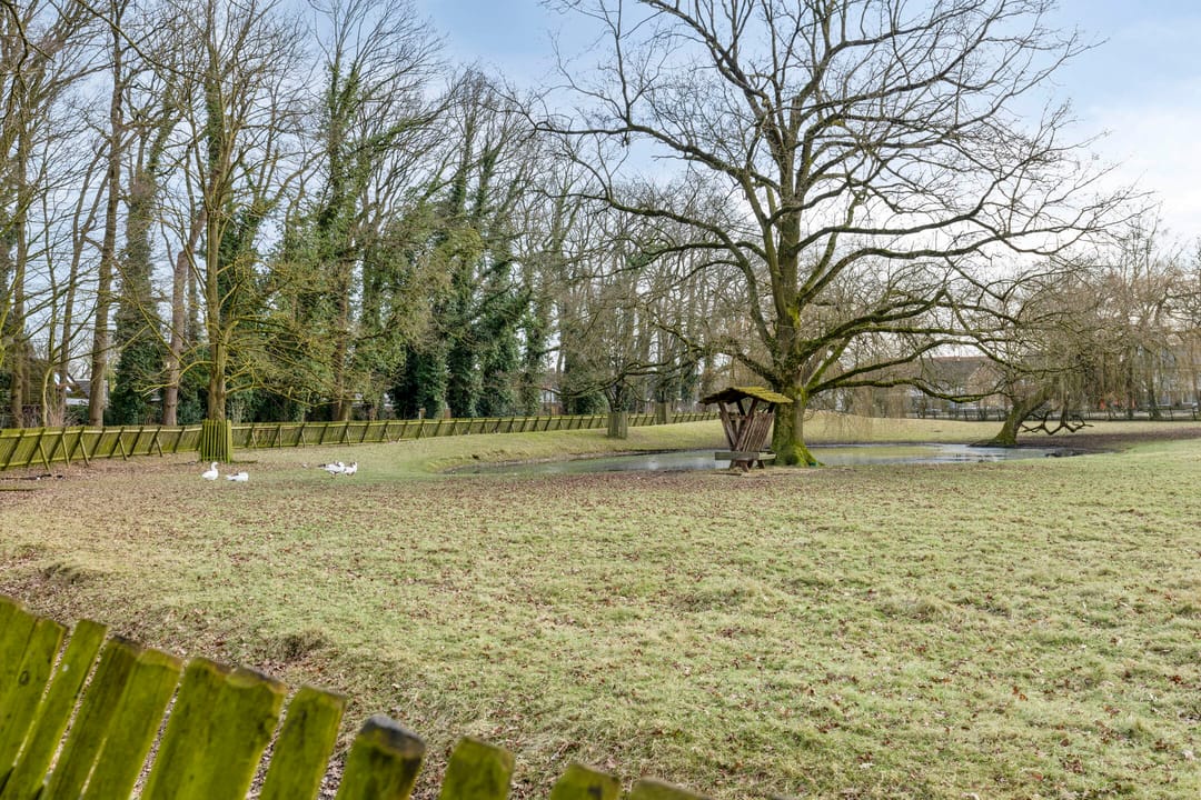 Photo 31 of Frerikshof 162