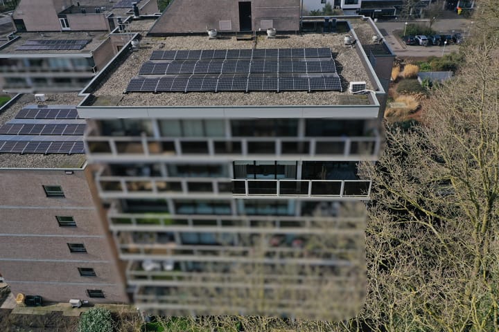 Photo 35 of Frerikshof 162