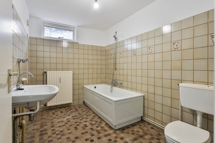 Foto 17 van Grote Wielen 43